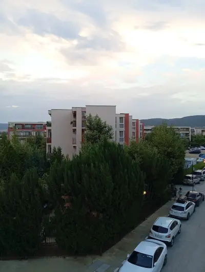 Орхидея Форт Гарден