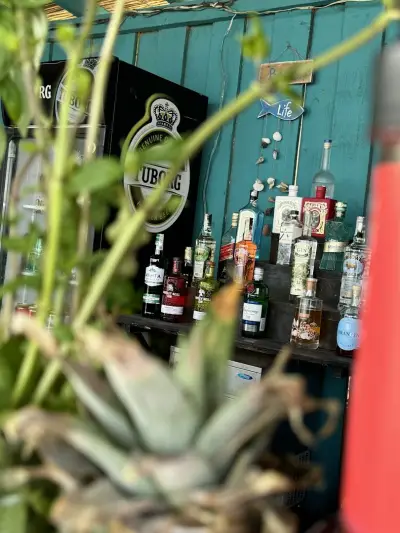 BUZZ BAR