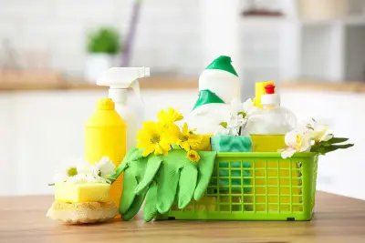 House cleaning by Maggie - Професионална домашна помощница!