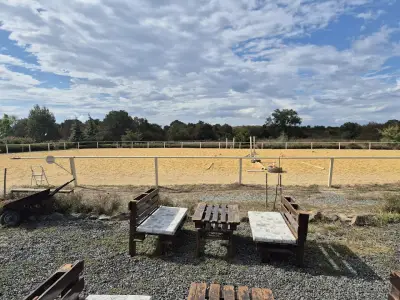 Royal Horse Club