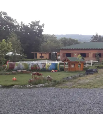 Royal Horse Club