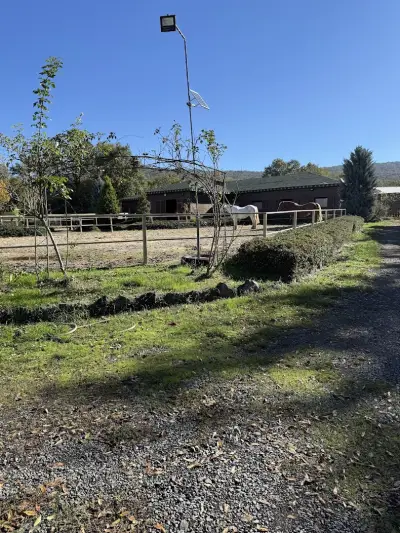 Royal Horse Club