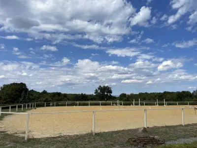 Royal Horse Club