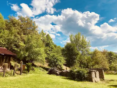 Bulgarian Private Tours and Transfers