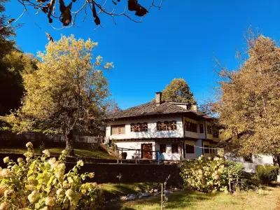 Bulgarian Private Tours and Transfers