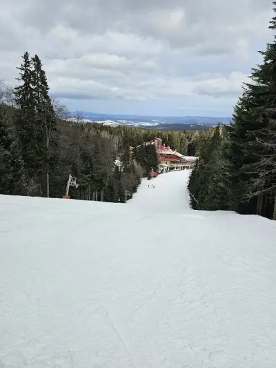Larix Ski School