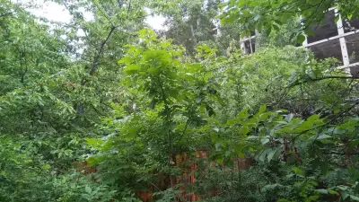Институт по заваряване