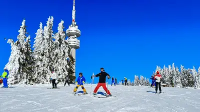 Pro Line Ski & Snowboard School Pamporovo
