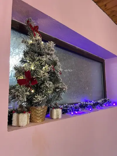 Обучение на кучета и хотел "Дея"