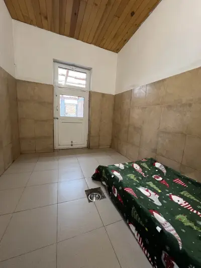 Обучение на кучета и хотел "Дея"