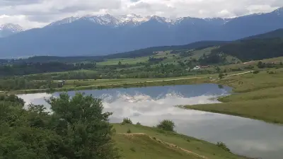 Конна база