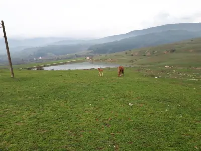 Конна база
