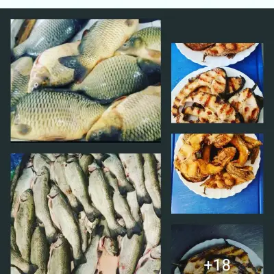 Робинзон