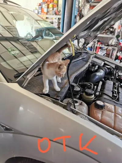 Автомобилен сервиз Ауспуси КарАуспо