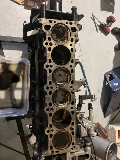 Insane Motorsport