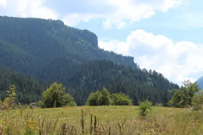 Forest View Apartment Govedartsi
