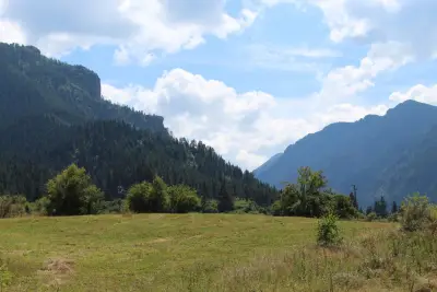 Forest View Apartment Govedartsi