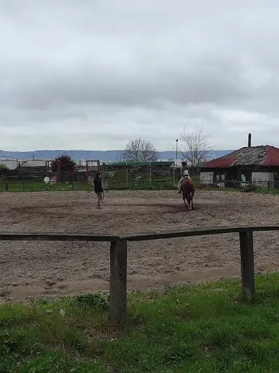 Конна база "Фанагория"