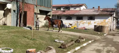 Конно спортна база Хан Аспарух
