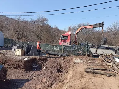 Миланов и Син