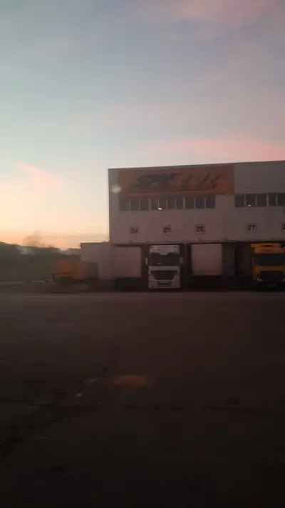 Мувио Лоджистикс ЕООД