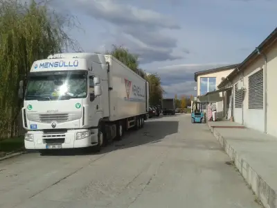 ОВИ И САРИ