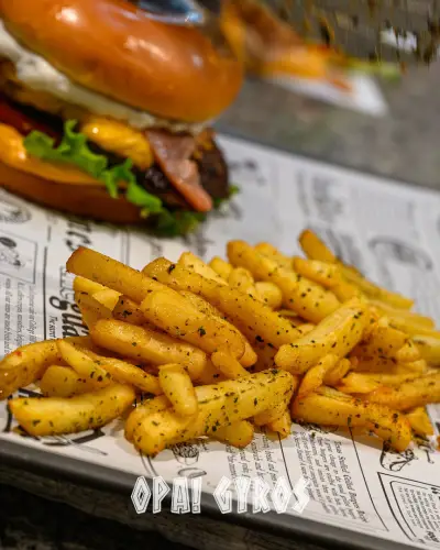 Opa! Gyros