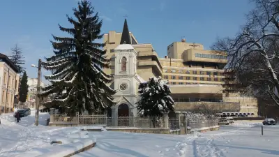 Фикосота фууд