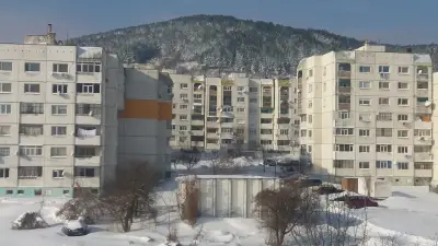 Фикосота фууд
