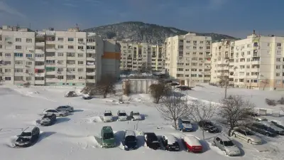 Фикосота фууд