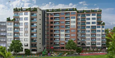 Yavor AD