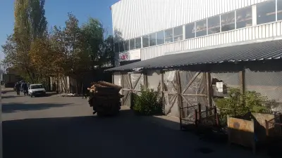 РЕД Спрингс