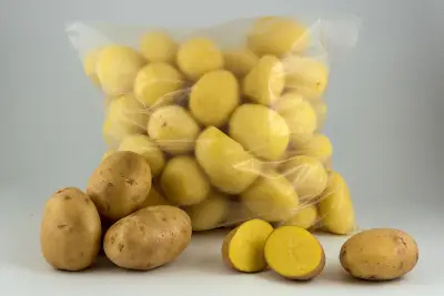 Елейа ЕООД