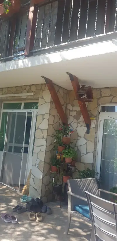Auto Gemici
