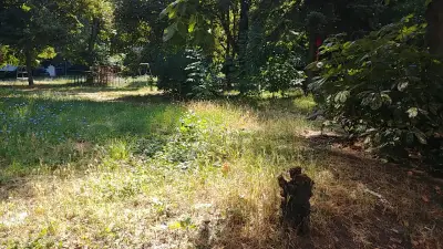 Ванина Арт