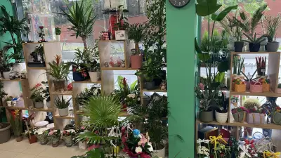 Магазин за цветя “Цветен ъгъл”