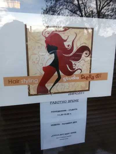 Стелла арт