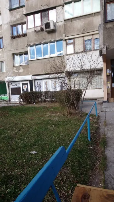 Стелла арт