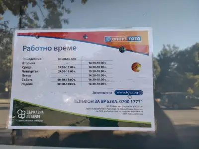 Спорт тото
