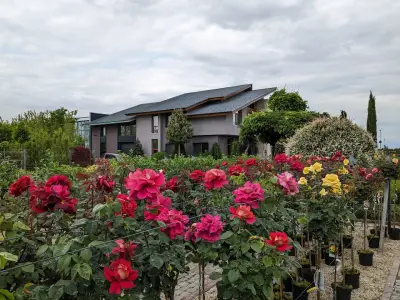 ФЛОРА ДИЗАЙН