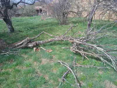 Змей Горянин-косене на трева и почистване на градини.
