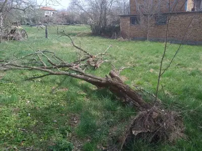 Змей Горянин-косене на трева и почистване на градини.