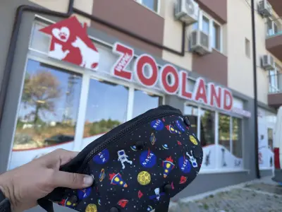 ZOOLAND Пчелина