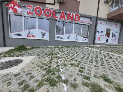 ZOOLAND Пчелина