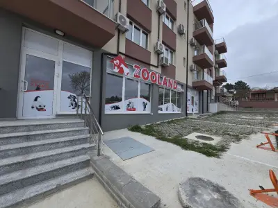 ZOOLAND Пчелина