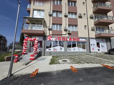 ZOOLAND Пчелина