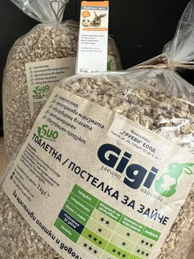 Gigi заешко царство