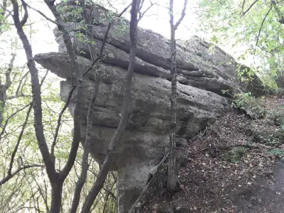 Кирека
