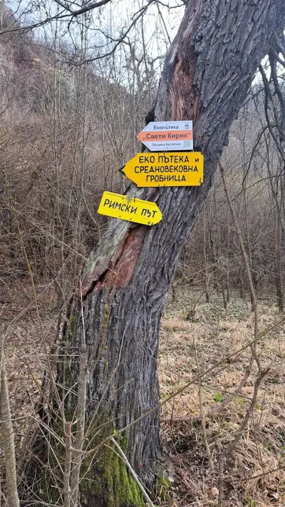 Кирека