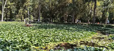 Езерото с лилиите
